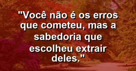 Você não é os erros que cometeu, mas a sabedoria que escolheu extrair deles.