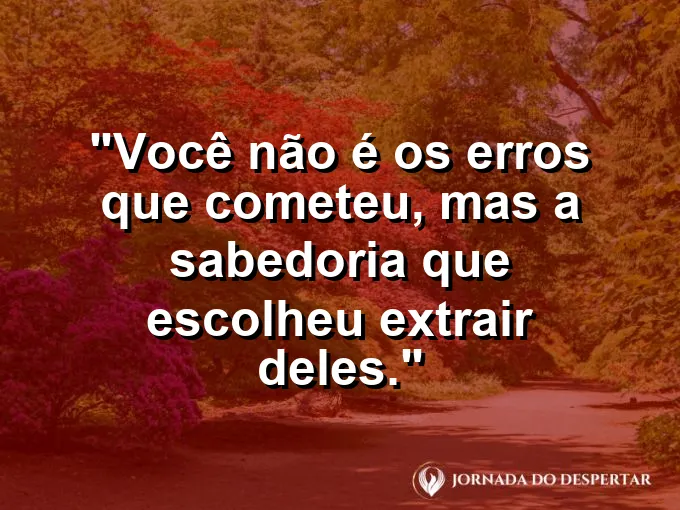 Uma planta crescendo entre as frestas de um muro de pedra antigo.