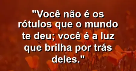Você não é os rótulos que o mundo te deu; você é a luz que brilha por trás deles.