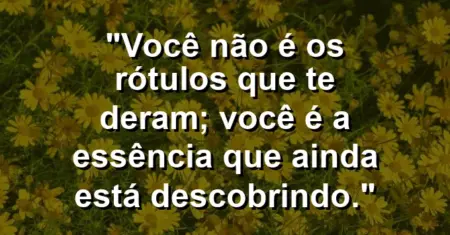 Você não é os rótulos que te deram; você é a essência que ainda está descobrindo.