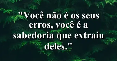 Você não é os seus erros, você é a sabedoria que extraiu deles.