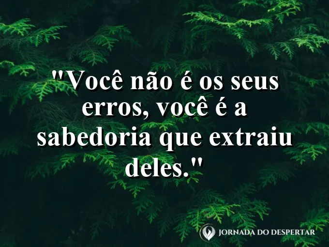 Uma flor de lótus florescendo perfeitamente sobre a lama.