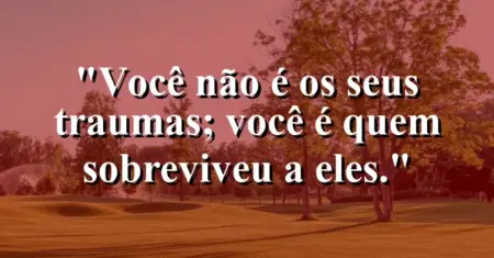 Você não é os seus traumas; você é quem sobreviveu a eles.