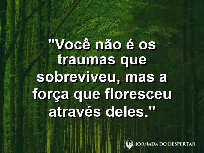 Uma rachadura no asfalto por onde nasce uma flor de cores intensas.