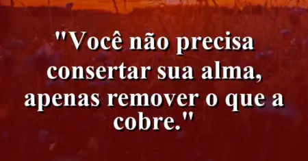Você não precisa consertar sua alma, apenas remover o que a cobre.
