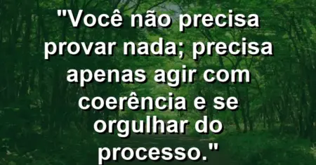 Você não precisa provar nada; precisa apenas agir com coerência e se orgulhar do processo.