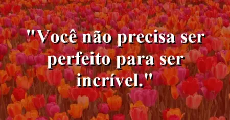 Você não precisa ser perfeito para ser incrível.
