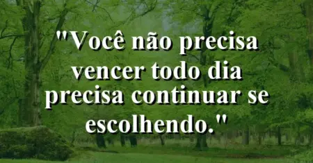Você não precisa vencer todo dia — precisa continuar se escolhendo.