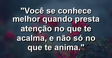 Você se conhece melhor quando presta atenção no que te acalma, e não só no que te anima.