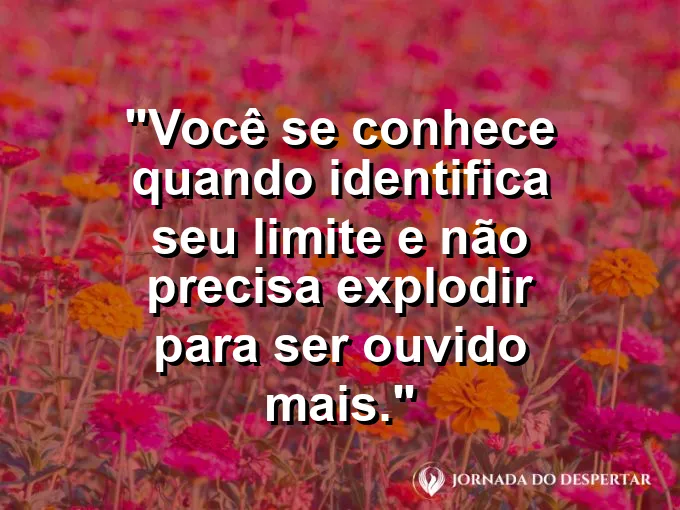Frase sobre autoconhecimento e autoestima: Você se conhece quando identifica seu limite e não precisa explodir para ser ouvido mais.