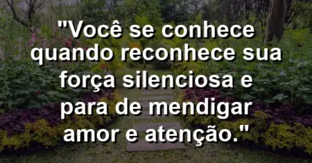 Você se conhece quando reconhece sua força silenciosa e para de mendigar amor e atenção.