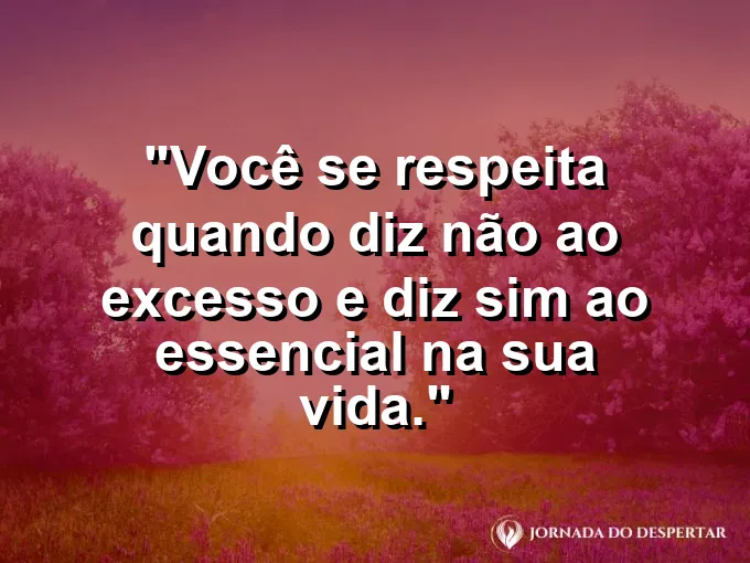 Frase sobre autoconhecimento e autoestima: Você se respeita quando diz não ao excesso e diz sim ao essencial na sua vida.