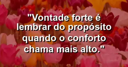 “Vontade forte é lembrar do propósito quando o conforto chama mais alto.”