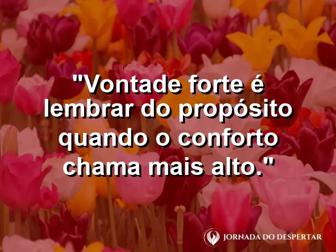 Imagem com frase sobre escolher propósito acima do conforto.